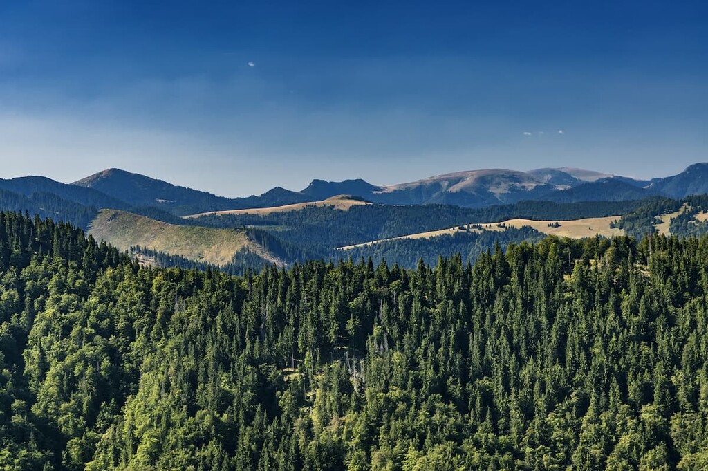 summer, Great Fatra, Slovakia