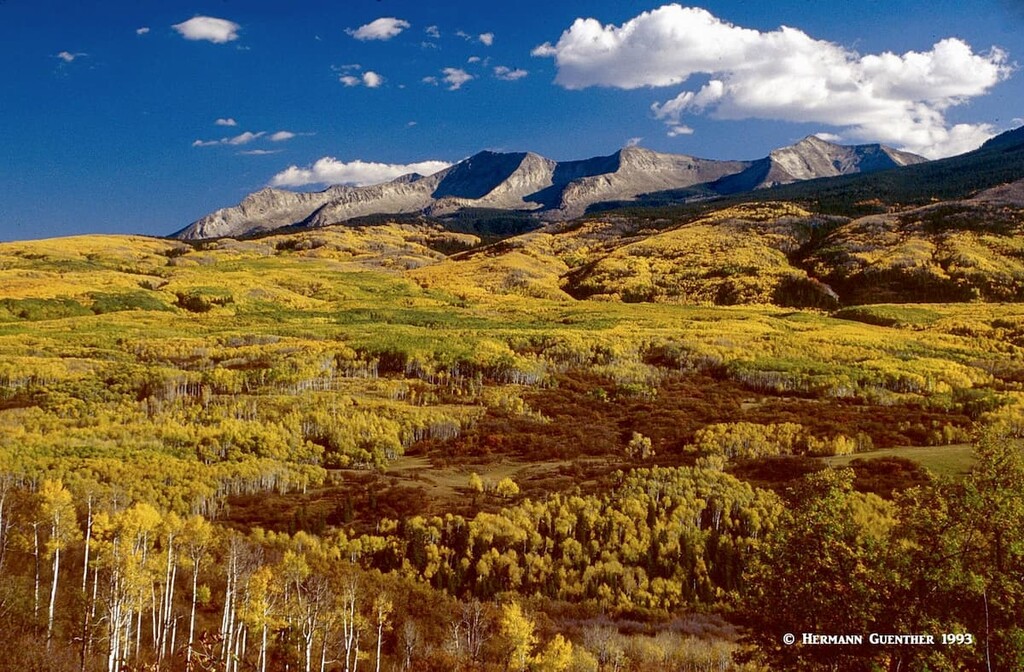 East Beckwith Mountain, West Elk Wilderness from Kebler Pass Road. Gunnison County