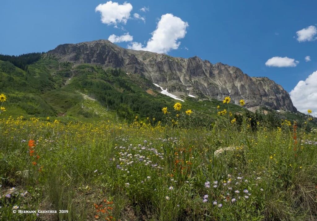 Gothic Mountain. Gunnison County