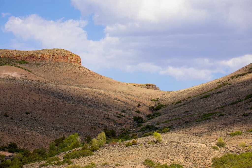 Gunnison County Landscape