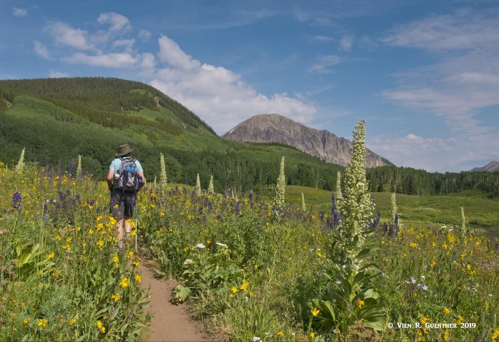 Snodgrass Mountain Trail, Gothic Mountain. Gunnison County