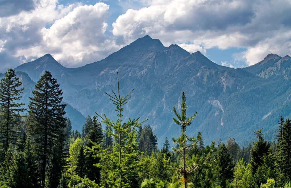 Harrison Group, British Columbia