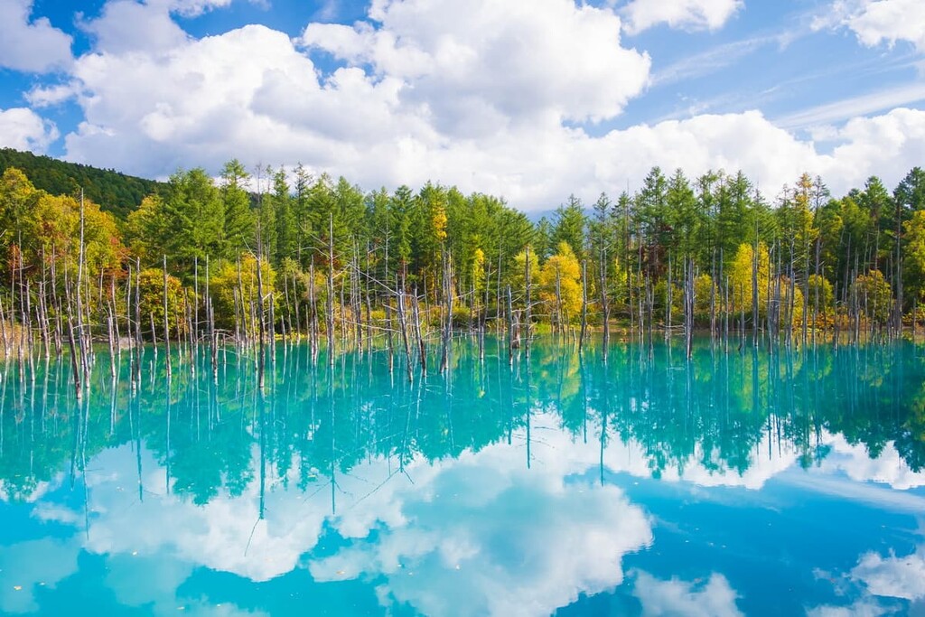 Shirogane blue pond, Hokkaido, Japan