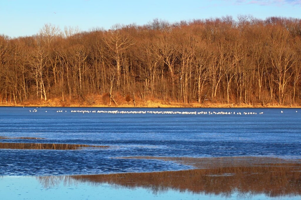 Clinton Lake State Park, illinois
