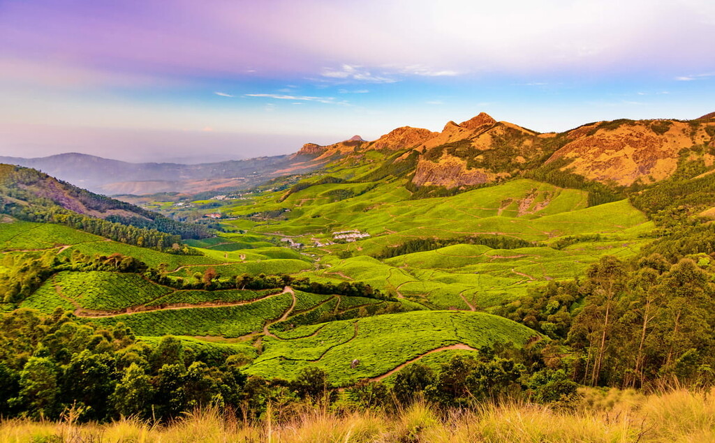 Valley in Kulukumalai in Munnar, Kerala, India