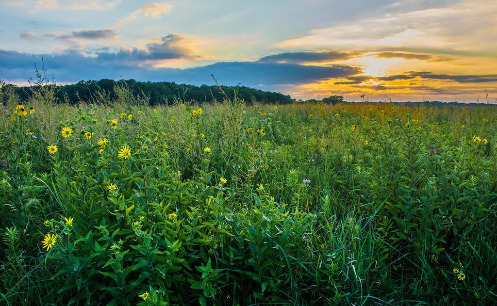 Prophetstown State Park, Indiana