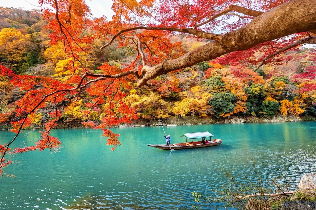 River and Japanese maple, Japan