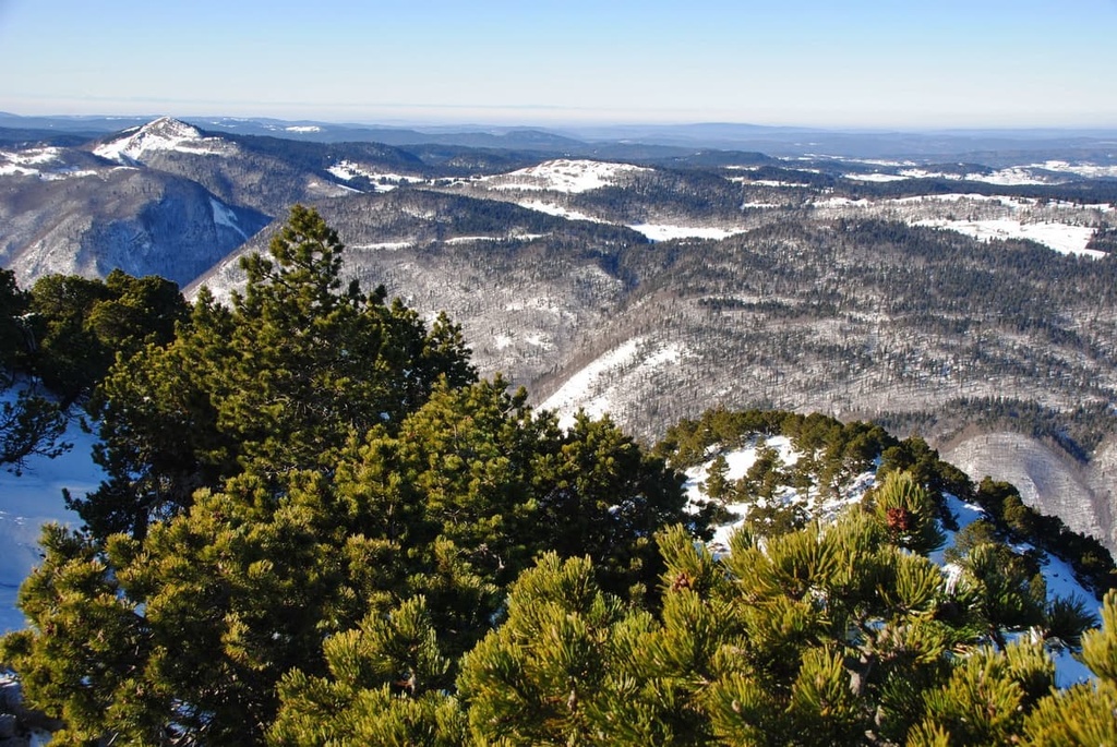 Crêt de la Neige, Jura Mountains, France