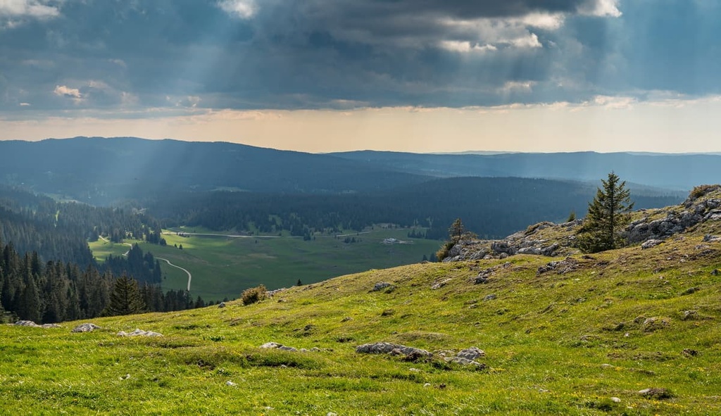 Jura Vaudois, Jura Mountains, France