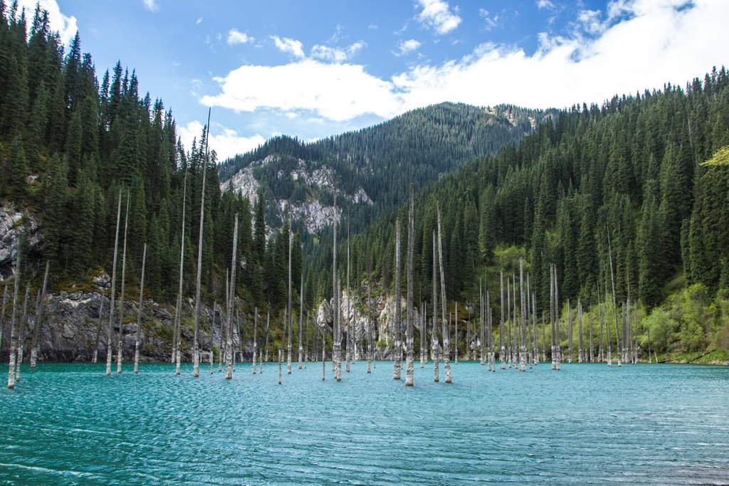 Kaindy Lake in Tien Shan, Kazakhstan