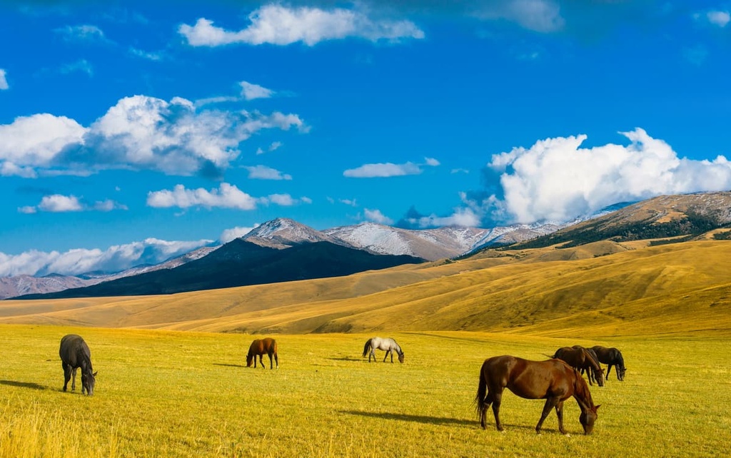 Landscape Lake, Kazakhstan