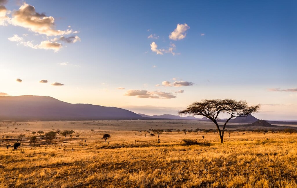 Tsavo East National Park, Kenya