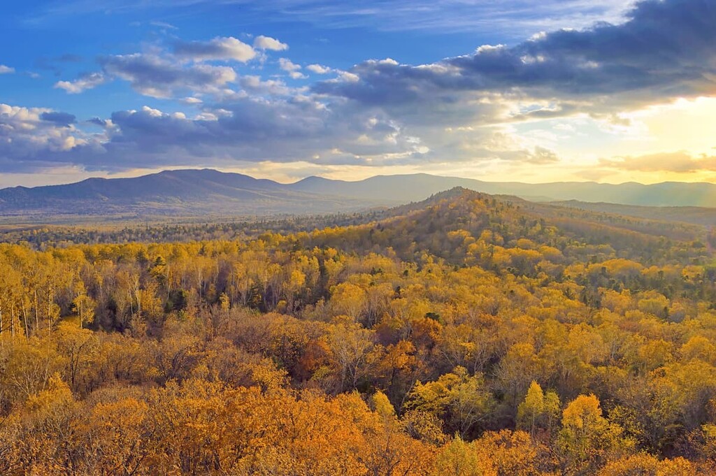 Bolshekhekhtsirsky Nature Reserve, Khabarovsk Region, Russia