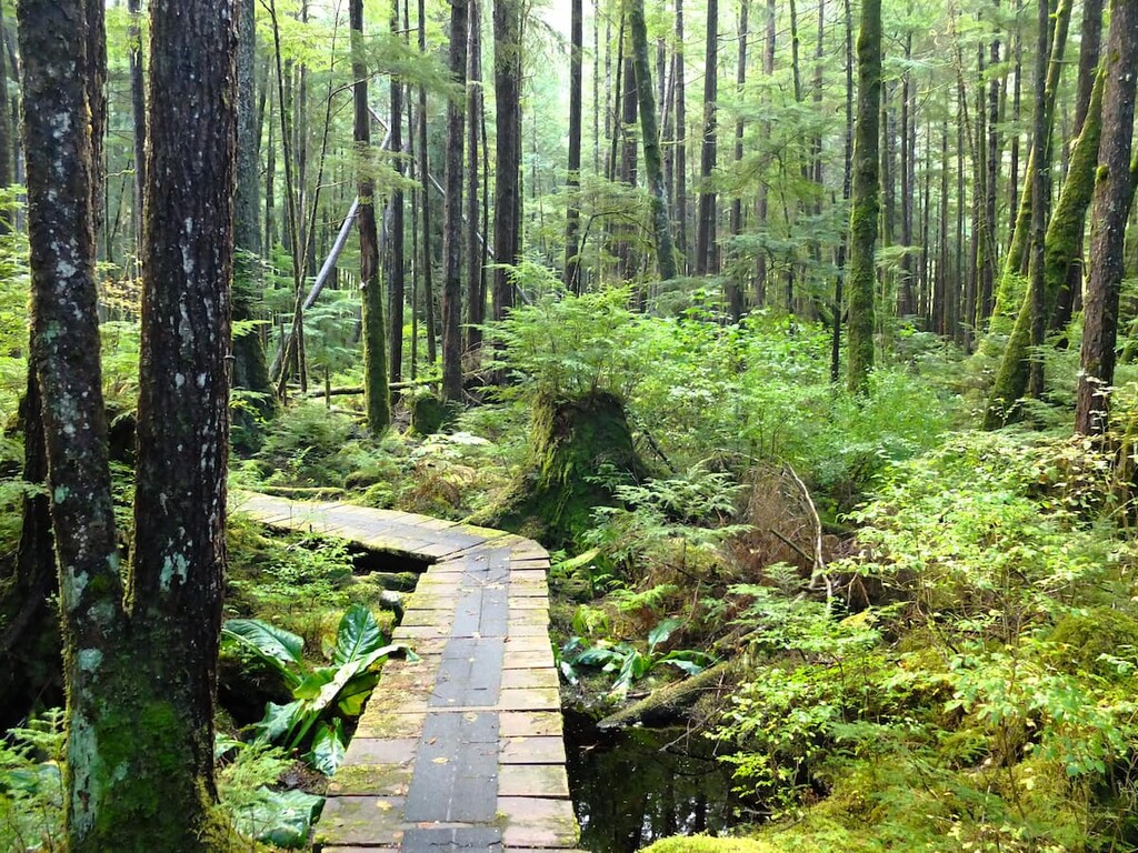 Prince Rupert, Kitimat Ranges, British Columbia