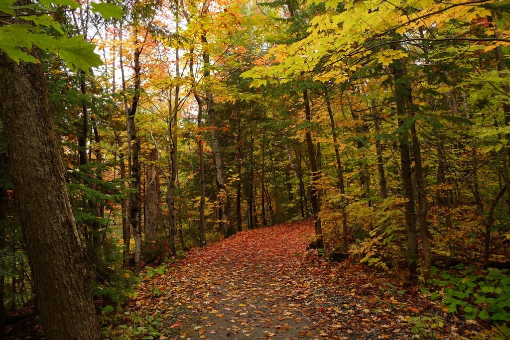  La Côte-de-Beaupré, Quebec