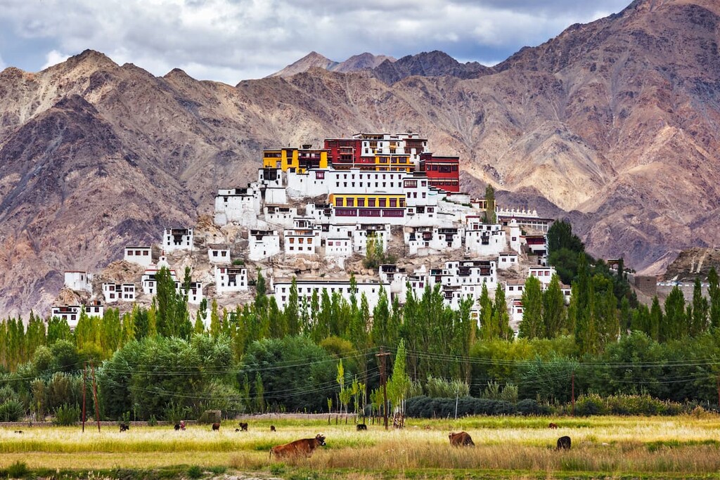 Thiksey Gompa is a Tibetan Buddhist monastery of the Yellow Hat, Ladakh, India