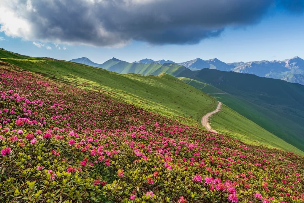 Ligurian Alps, Italy