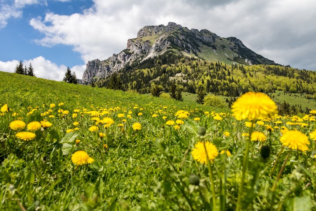 Big Rozsutec, Little Fatra, Slovakia