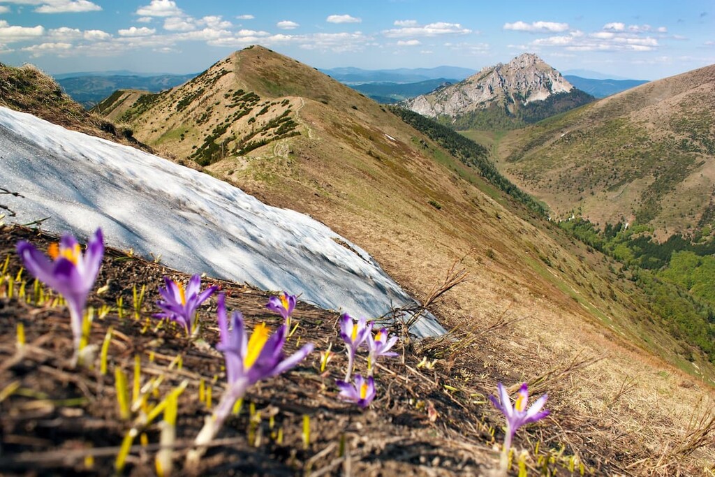 Mount Rozsutec, Little Fatra, Slovakia