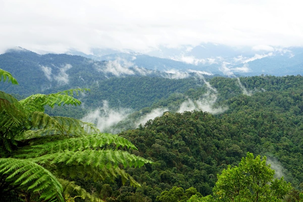 Royal Belum State Par, Malaysia