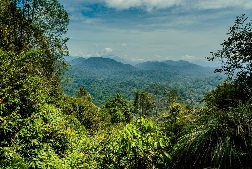 Taman Negara, Andaman sea , Malaysia