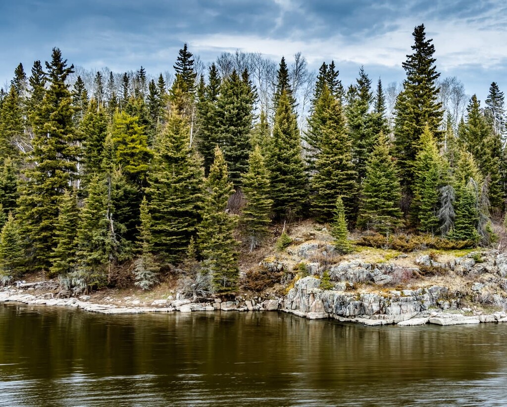 Boreal Plains, Manitoba, Canada 