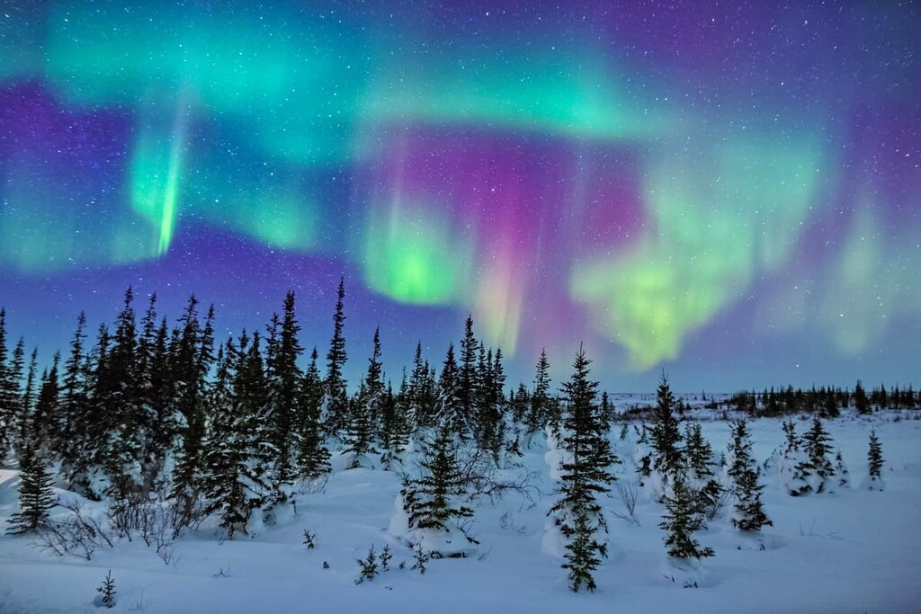 Colorful Aurora, Manitoba, Canada 