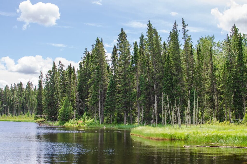 Forest, Manitoba, Canada 