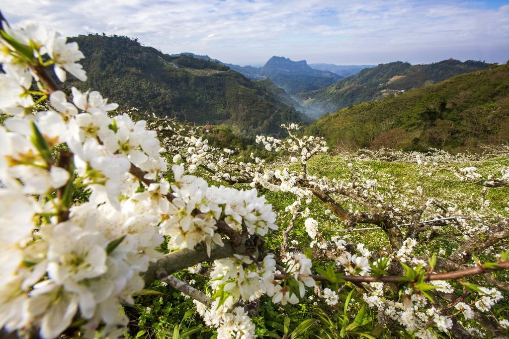 Miaoli County, Taiwan