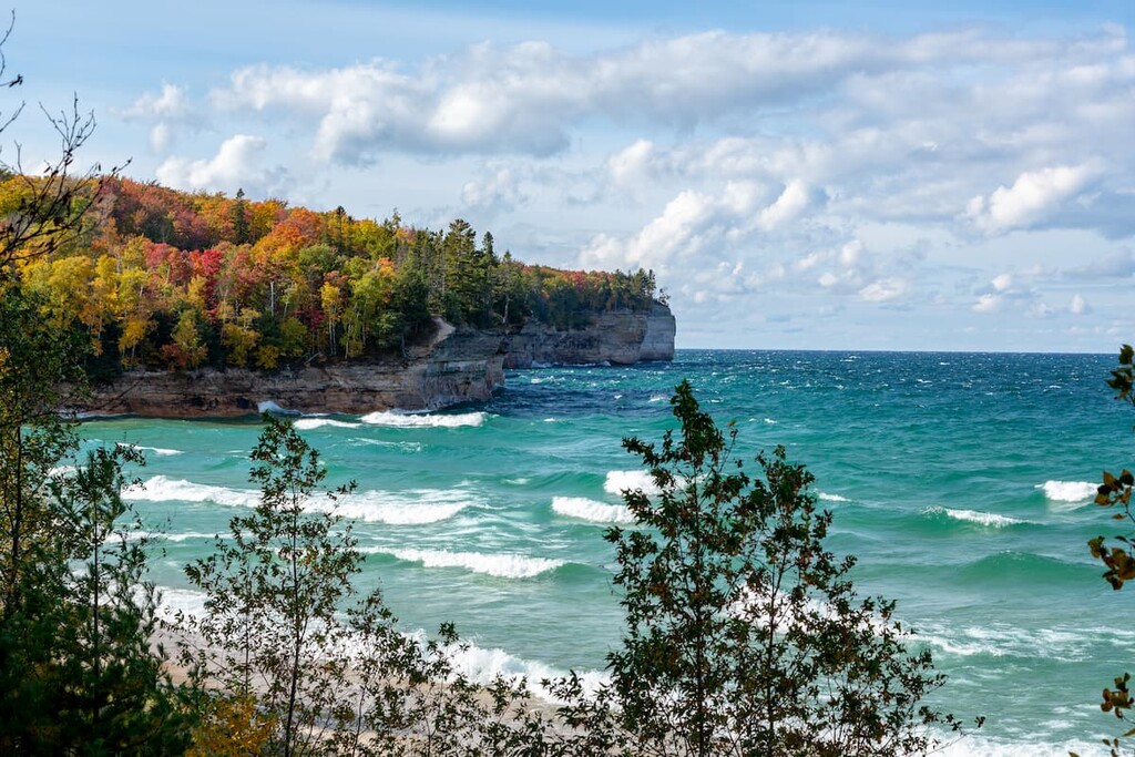 Upper Peninsula forest , Michigan.