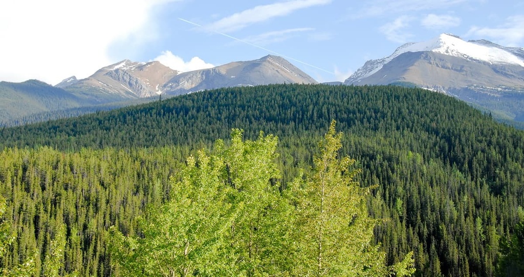Miette Range, Alberta