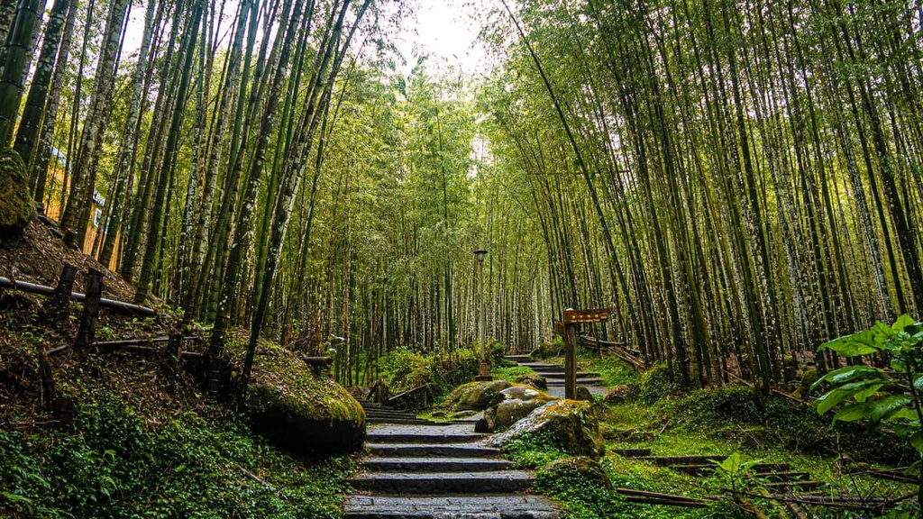 Xitou Nature, Nantou County, Taiwan