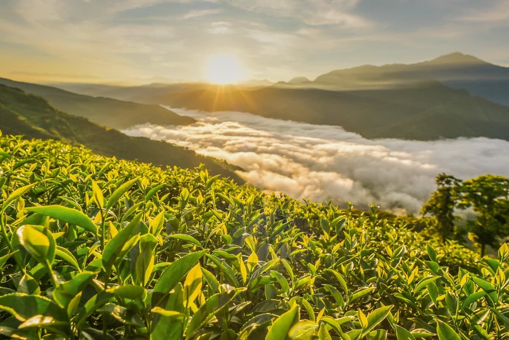 Nantou County, Taiwan