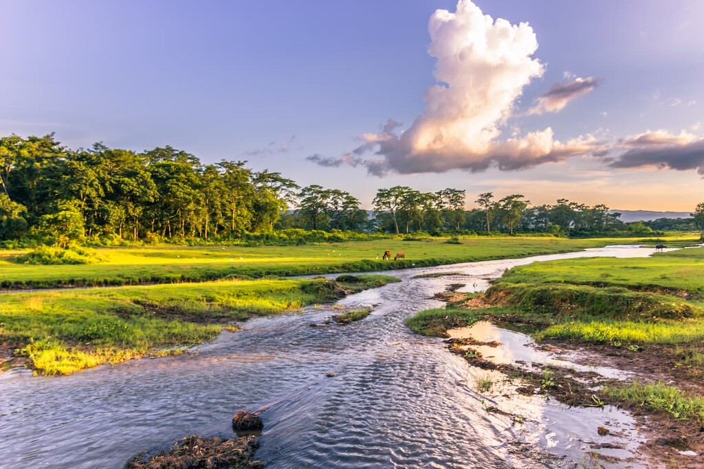 Chitwan, Nepal