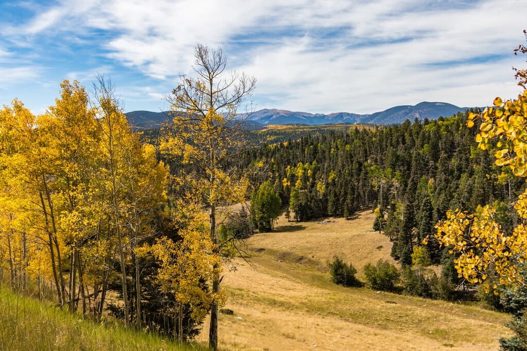 Carson National Forest, New Mexico, US