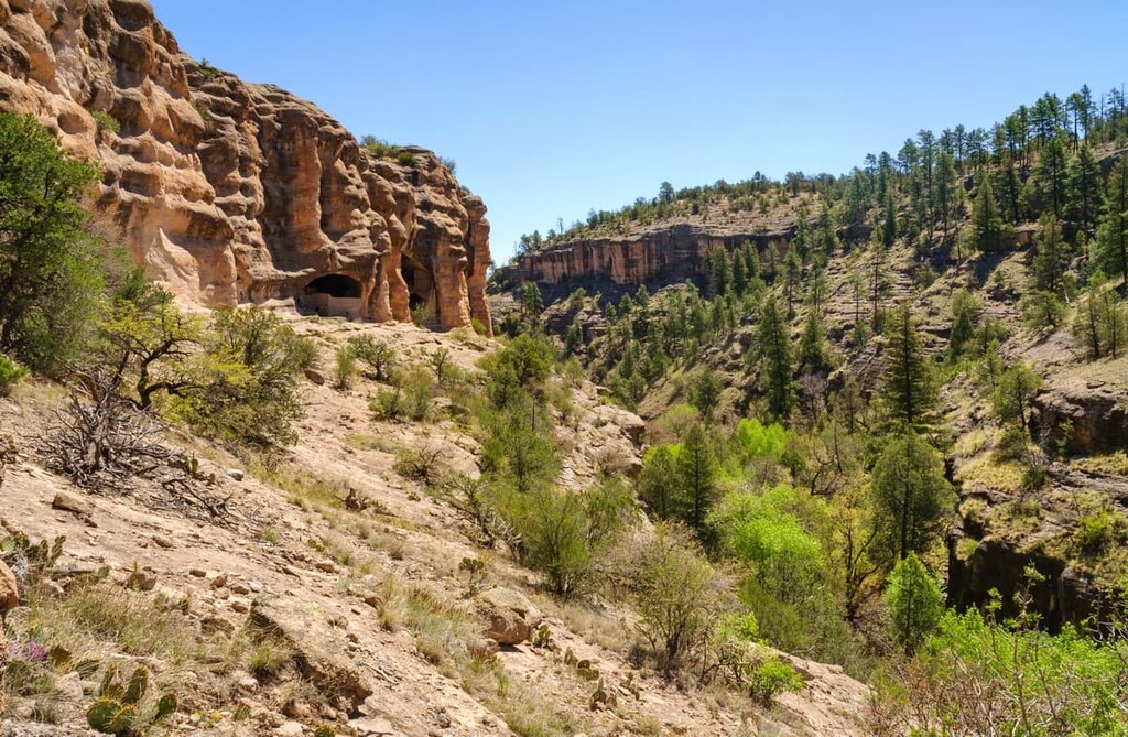 Gila National Forest, New Mexico, US