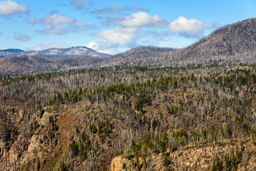 Valles Caldera National Preserve, New Mexico, US