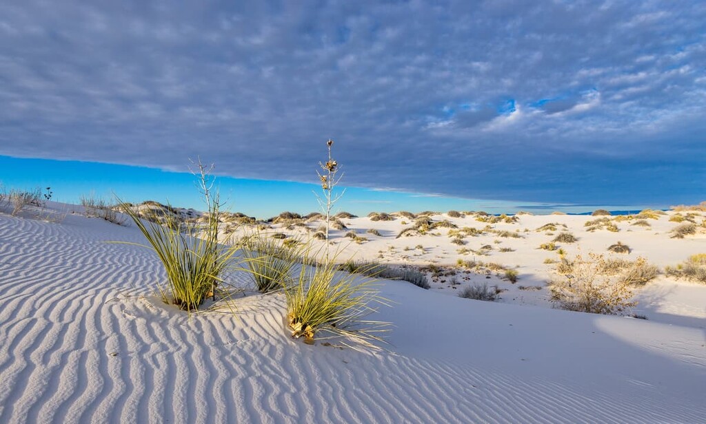 White Sands National Park, New Mexico, US