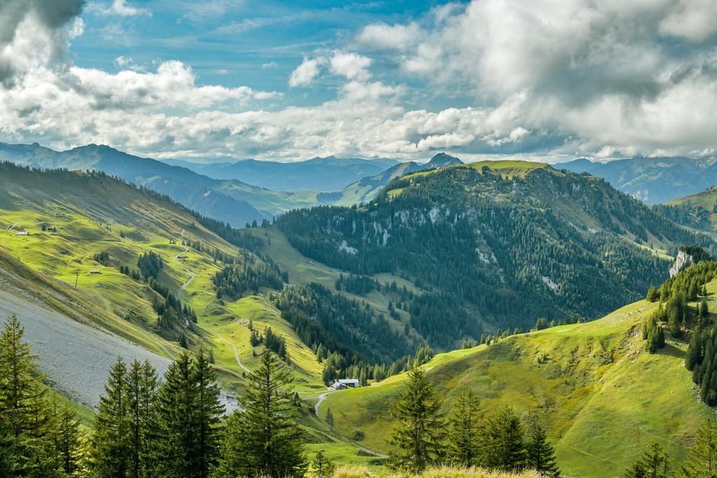 Forest, Canton Nidwalden, Switzerland
