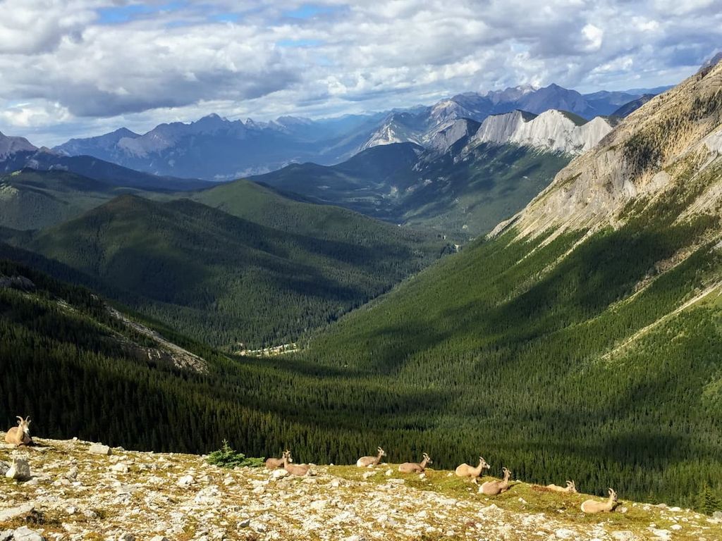 Sulphur Skyline Trail, Nikanassin Range, Canada