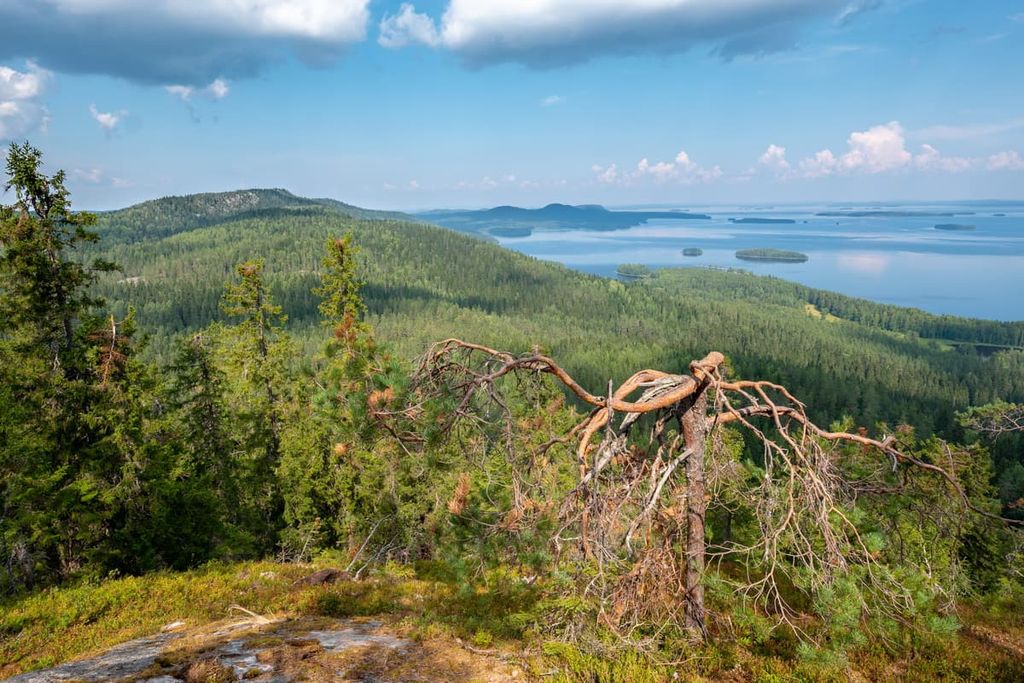 North  Karelia, Finland