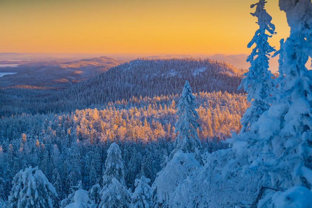 North  Karelia, Finland