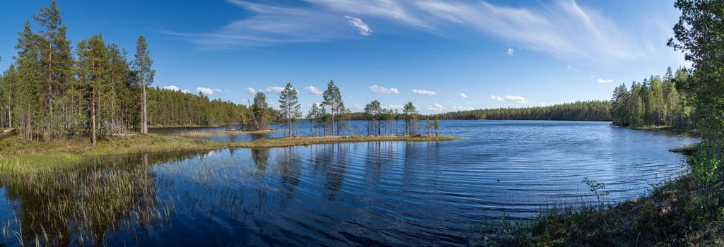 Patvinsuo National Park, North  Karelia, Finland