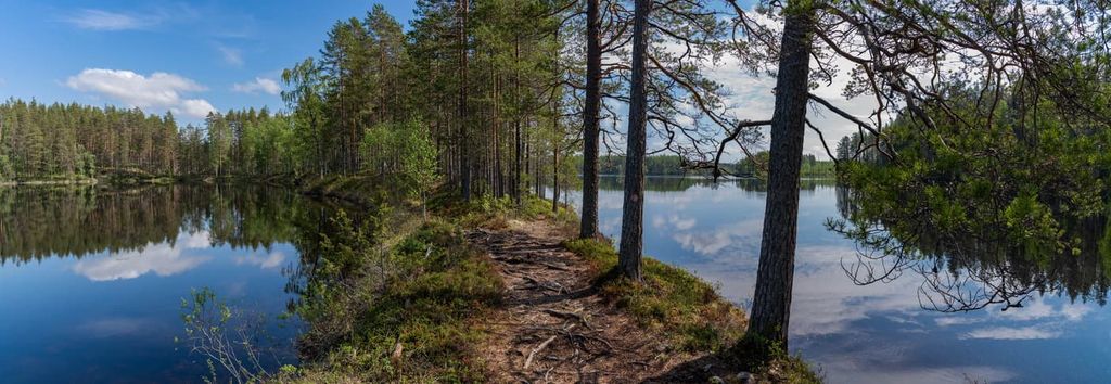 Petkeljärvi National Park, North  Karelia, Finland