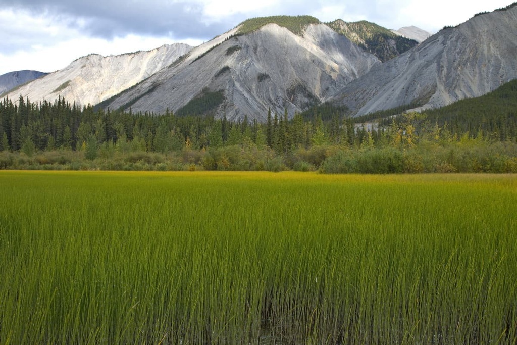 Northern Rockies Regional Municipality, British Columbia