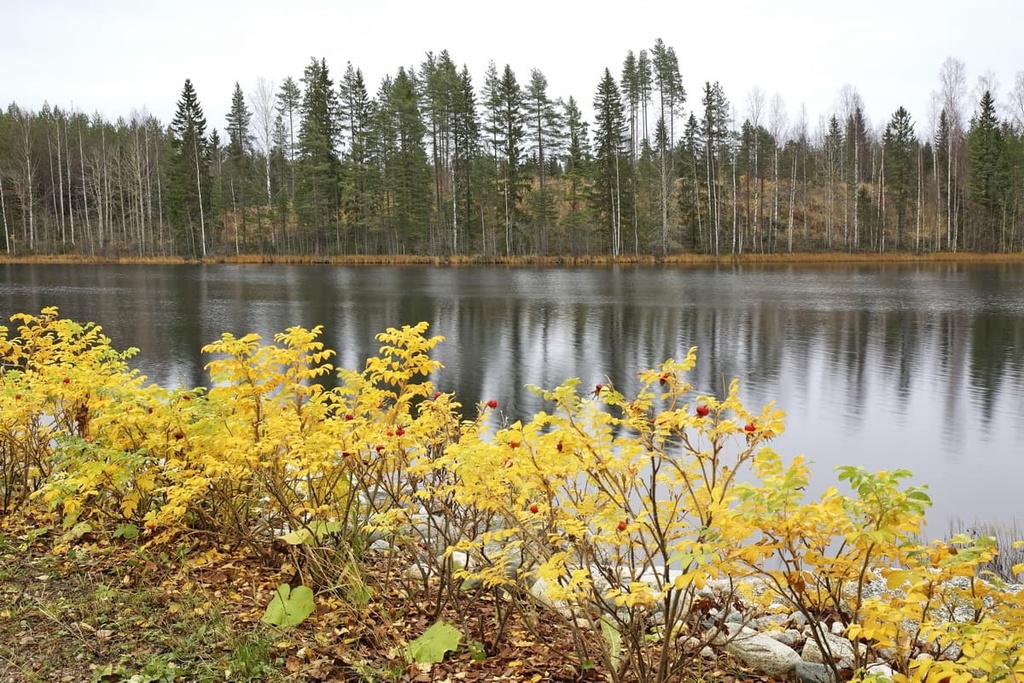 Northern Savonia, Finland