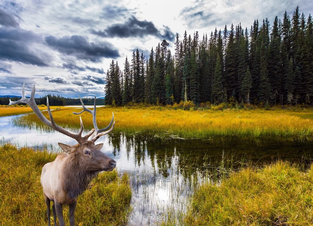 Northwest Territories, Canada