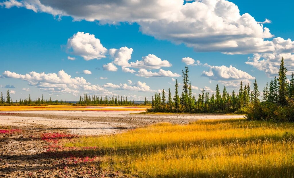 Wood Buffalo National Park, Northwest Territories, Canada