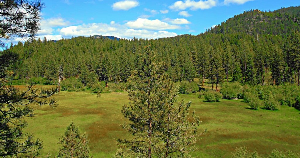 Mill Creek Valley in the Ochoco Mountains