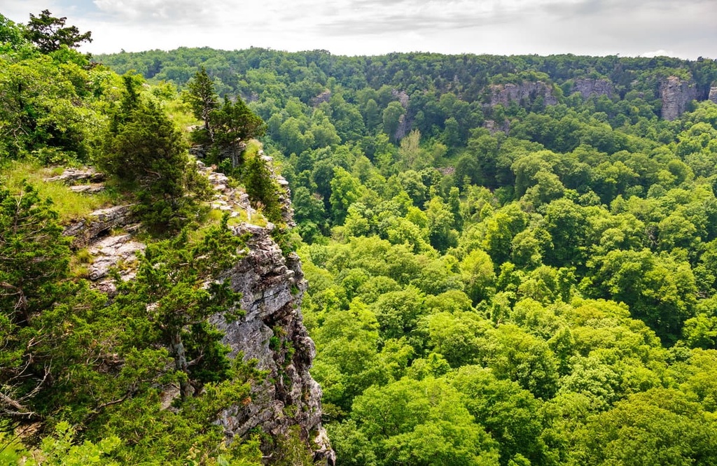 Rugged Cliff, Ouachita Mountains, Arkansas